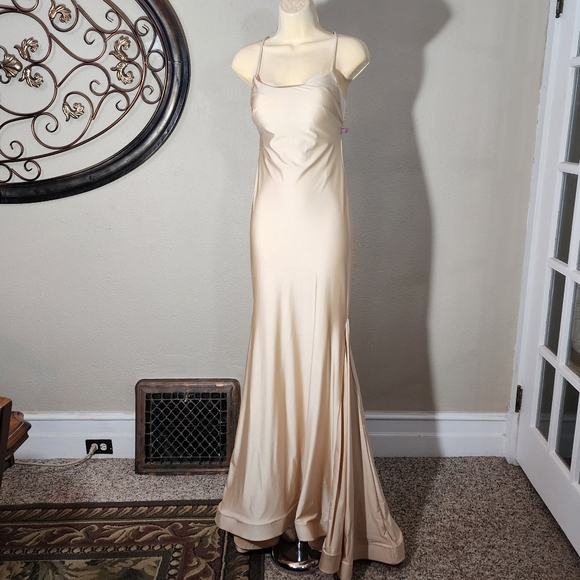 iNtrigue By Blush Dress Satin Jersey Fabric Strappy Back Champagne Size 0 - Picture 13 of 14
